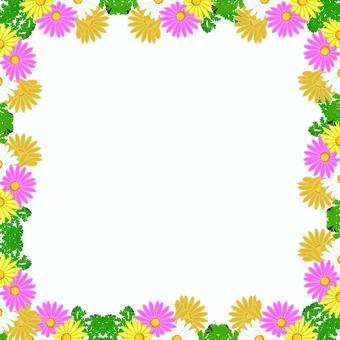 chamomile, chamomile, flower, bloom, JPG, PNG and AI