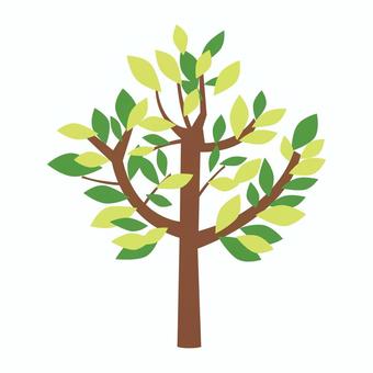 木 木,植物,樹木,林,春,緑,グリーンのイラスト素材