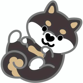 ハート鼻の柴犬（ごろん）4 柴犬,犬,動物,ハート,鼻,ゴロン,寝転がる,仰向け,シンプル,かわいいのイラスト素材