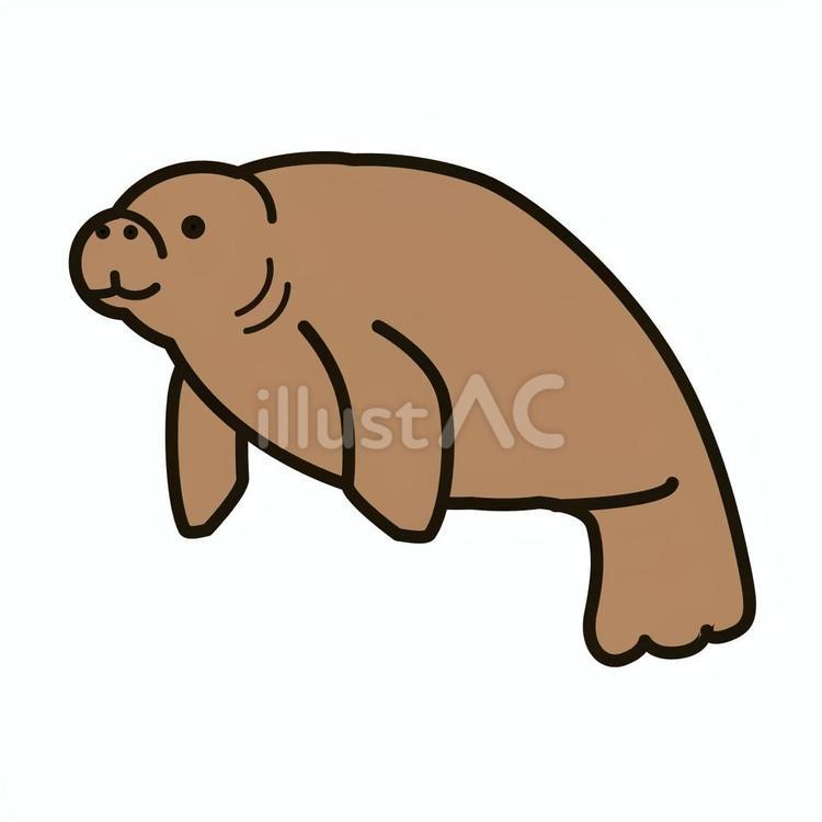 マナティ マナティ,海,生き物のイラスト素材