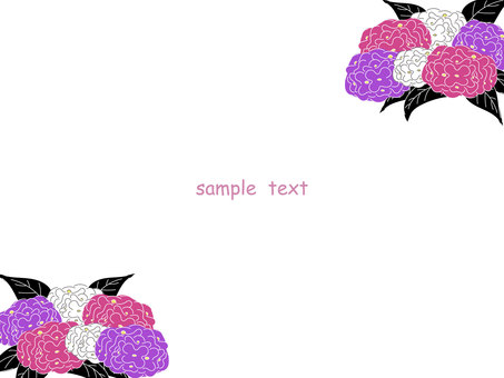 Illustration, frame, hydrangea, rainy season, 