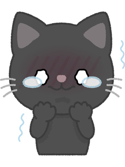 黒猫涙目 黒猫,涙目,震える,ネコ,キャット,動物,黒,ペットのイラスト素材