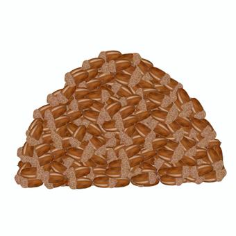 リアルな大量のドングリの山ドングリ豊作 ドングリ,木の実,コナラ,ブナ,大量,たくさん,山,こんもり,大盛,豊作のイラスト素材