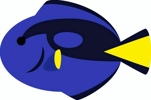 ナンヨウハギ ナンヨウハギ,ハギ,魚,海,海洋,海洋生物,魚類,生き物,動物,水族館のイラスト素材