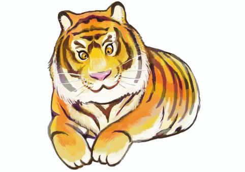 Illustration, tiger, beast, year he material, 