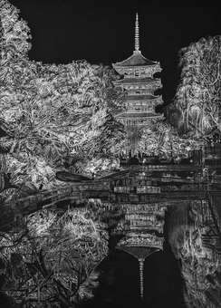 京都東寺の夜桜 京都,五重塔,夜桜,夜,建物,池,木,水映え,ライトアップ,白のイラスト素材