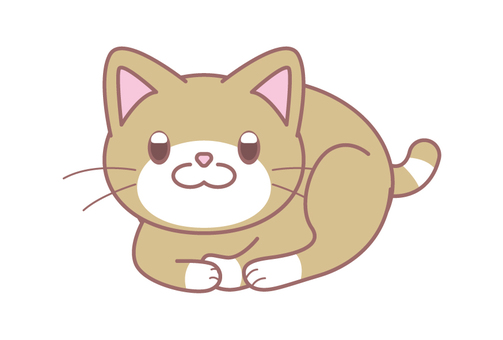 お口がωで白い靴下柄の猫ちゃんの丸まり 猫,丸い,座る,かわいい,デフォルメのイラスト素材