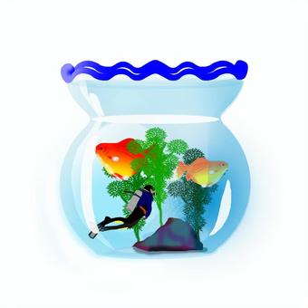 金魚鉢へ潜水。 金魚鉢,金魚,潜水,スキューバーダイビング,りゅうきんのイラスト素材