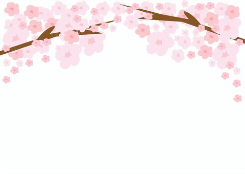 桜　水彩タッチ背景素材　フレーム 桜,春,フレーム,さくら,花びら,花,満開,メッセージ,サクラ,きれいのイラスト素材