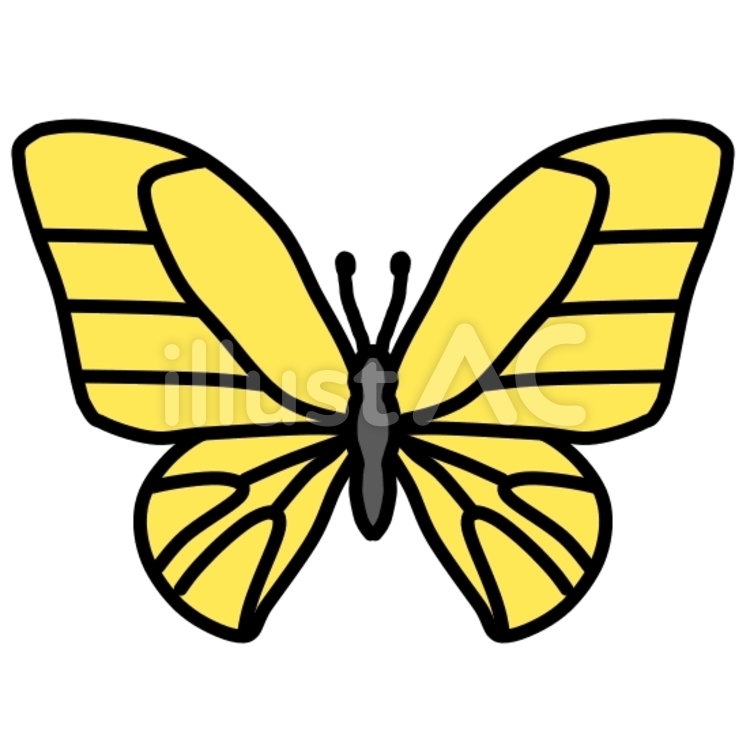 羽を開いた蝶（カラー） 蝶,アゲハ蝶,虫のイラスト素材