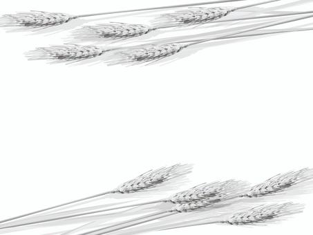 白黒の麦穂 影あり mugi002 白黒の麦穂 影あり mugi002 麦穂,白黒,リアル,ナチュラル,お洒落,自然,植物,大人っぽい,枠,背景のイラスト素材