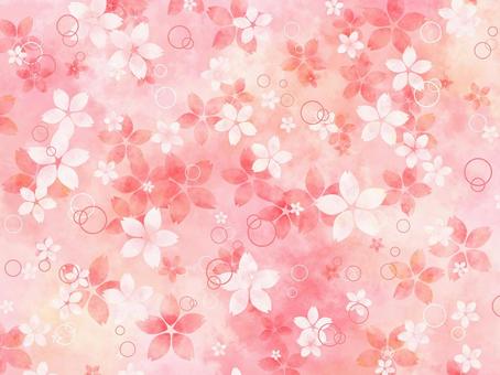 Illustration, cherry blossoms, cherry blossoms, cherry-blossom viewing, JPG