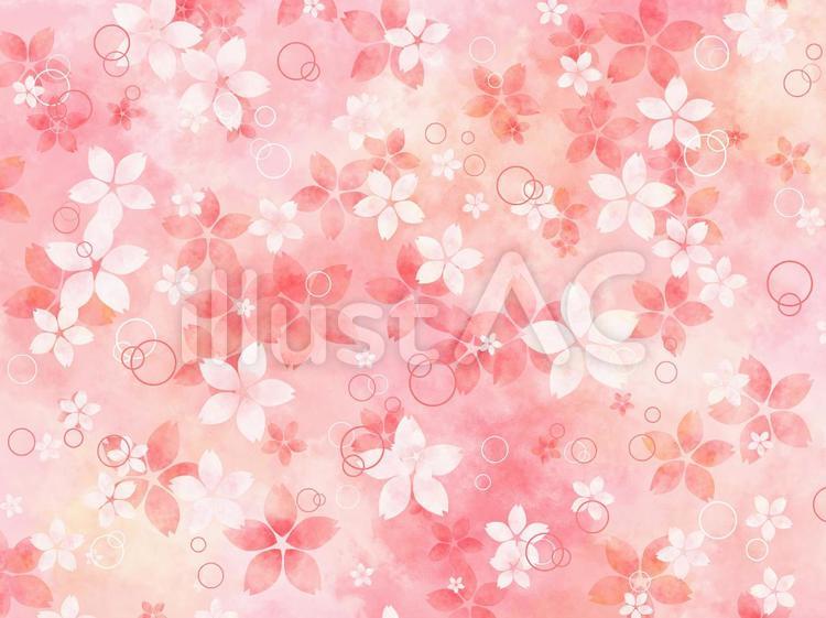 桜　背景 桜,桜花,花見のイラスト素材