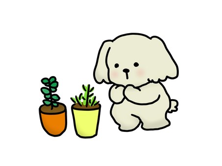 ハーブを育てる犬② ハーブ,家庭菜園,犬,植木鉢,植物,趣味,可愛い,手描き,ペット,動物のイラスト素材