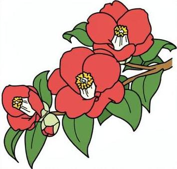 椿　カラー 椿,花,植物,冬,花木,赤のイラスト素材