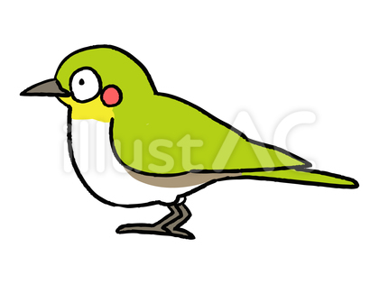 メジロのイラスト