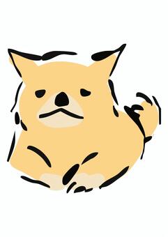 嫌な顔をする柴犬 柴犬,すねる,拒否,嫌,犬,かわいい,わんこ,ペット,動物,シンプルのイラスト素材