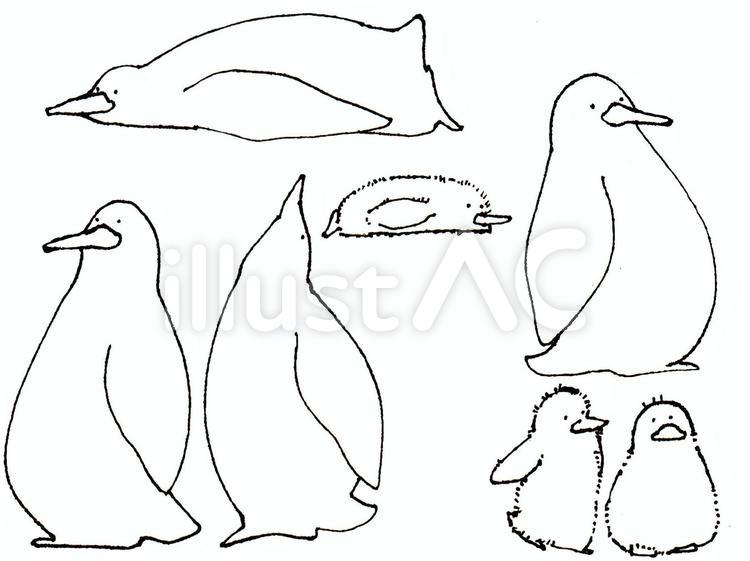 【白黒素材】ぺんぎんたち【手書き風】 ペンギン,動物,涼し気のイラスト素材
