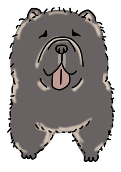 チャウチャウブラック 犬,動物,ペット,かわいい,デフォルメ,わんこ,キャラクター,毛色,手描き,チャウチャウのイラスト素材