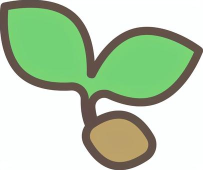 双葉と種のシンプルなアイコンイラスト 双葉,種,発芽,植物,芽生え,芽,苗,葉っぱ,葉,芽吹きのイラスト素材