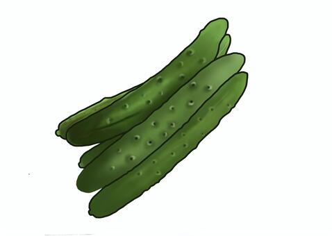 Illustration, cucumber, food, food, JPG and PNG