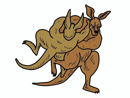 カンガルー大外刈り 大外刈り,カンガルー,柔道技,一本勝ち,格闘技,格闘,マッチョのイラスト素材