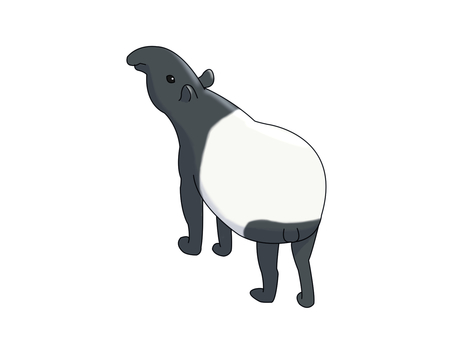 マレーバク（後ろ姿） マレーバク,動物,白,黒,ツートンカラー,後ろ姿のイラスト素材