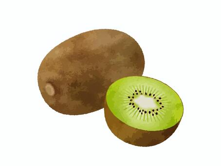 キウイ水彩風イラスト01 キウイ,フルーツ,かわいい,水彩,グリーン,断面,カット,セット,半分,イラストのイラスト素材