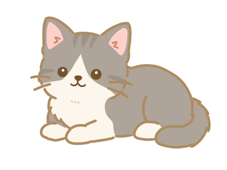 伏せをするハチワレ猫イラスト 猫,子猫,ハチワレ,ペット,愛猫,かわいい,伏せ,寝そべり,あざとい,おねだりのイラスト素材