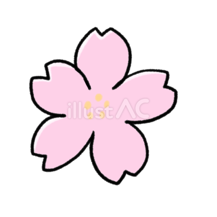 さくら 花,春,桜のイラスト素材