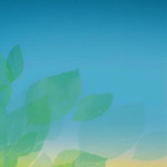 Leaves flying in the sky, JPG Leaves flying in the sky, , JPG