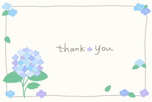 紫陽花のシンプルThank Youカード 植物,花,あじさい,フレーム,サンキューカード,お礼,かわいい,梅雨,人物無し,コピースペースのイラスト素材