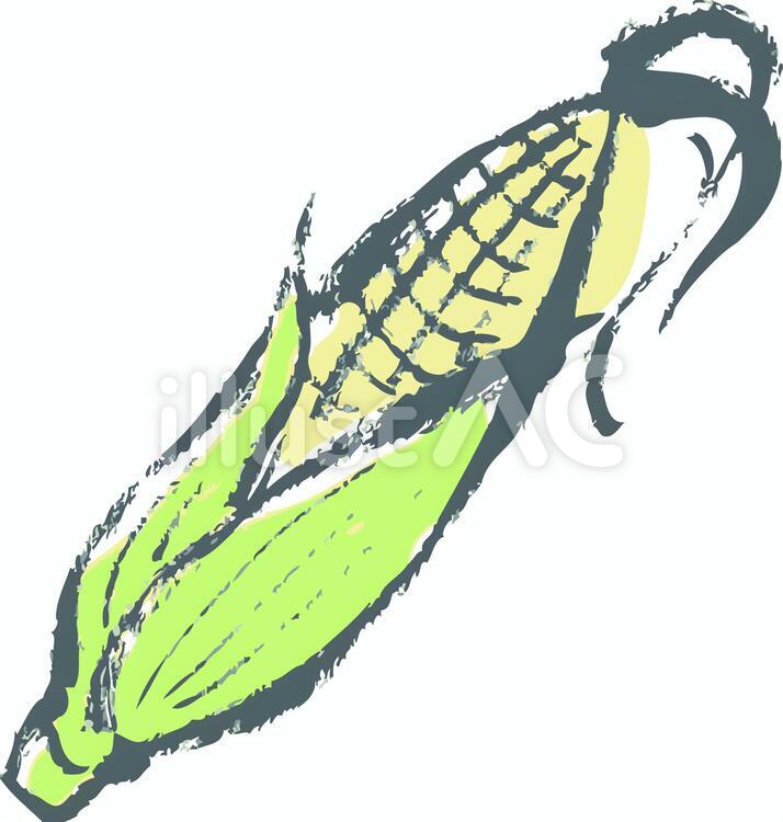とうもろこし(ハーフトーン) とうきび,とうもろこし,北海道のイラスト素材