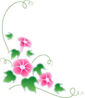 Pink morning glory, JPG Pink morning glory, , JPG