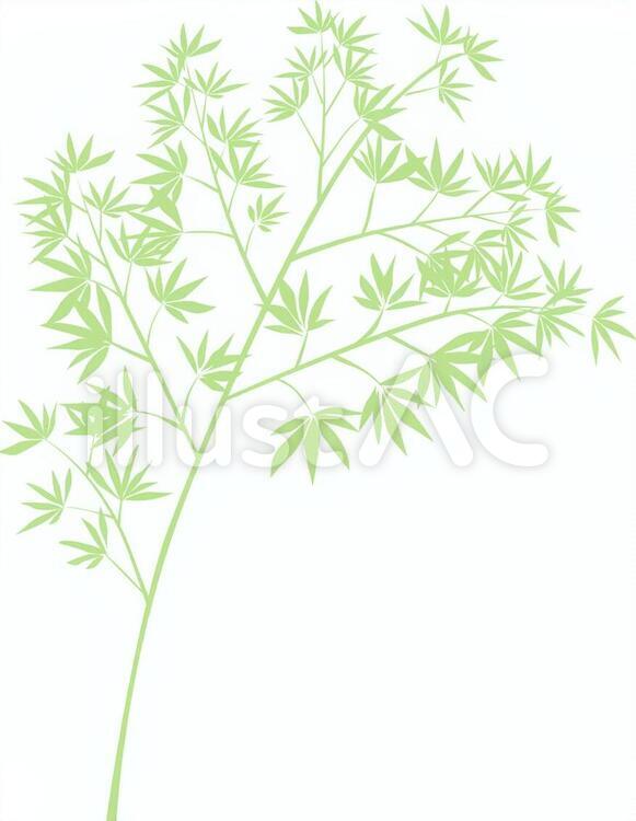 笹 七夕,ささ,たなばたのイラスト素材