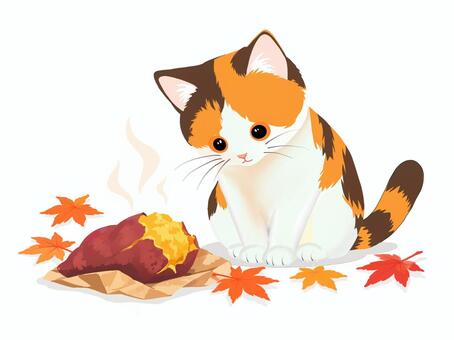 焼きいもが気になる三毛猫 三毛猫,猫,焼きいも,さつまいも,秋,秋の味覚,かわいい,動物,ほっこりのイラスト素材