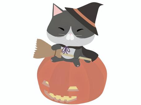 halloween_witch, , JPG and PNG