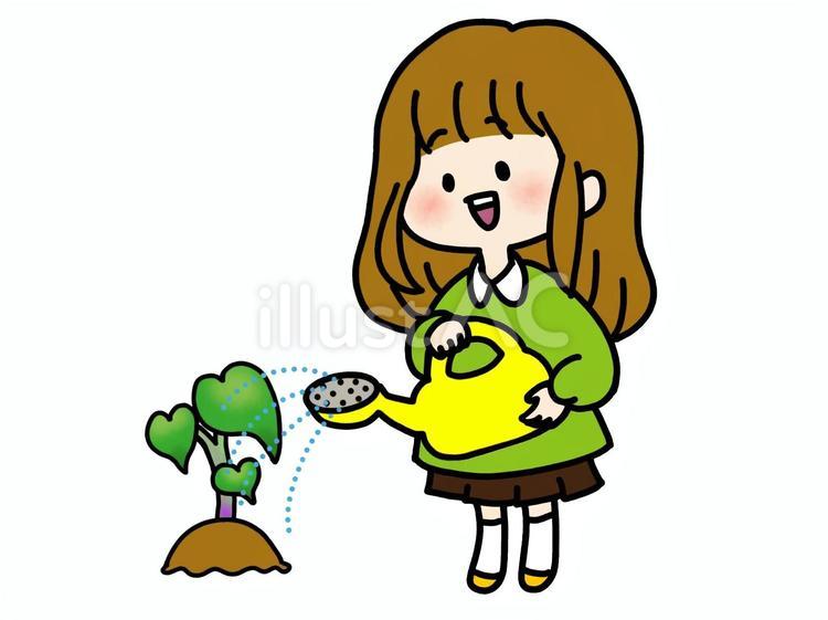 サツマイモの苗に水やりをする女の子　緑 女の子,ジョウロ,水やりのイラスト素材