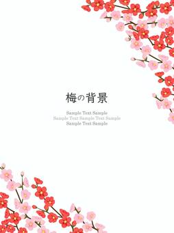 梅の花のフレーム、背景08 梅,花,水彩のイラスト素材