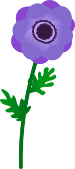 1 purple anemone, anemones, flower, plant, JPG, PNG and AI