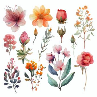 各種形狀的花朵水彩插圖集, 各種形狀的花朵水彩插圖集, 水彩, 手繪, 自然,