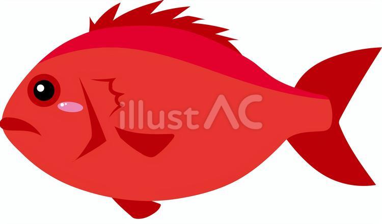 エビスダイ 魚,エビスダイ,鯛のイラスト素材