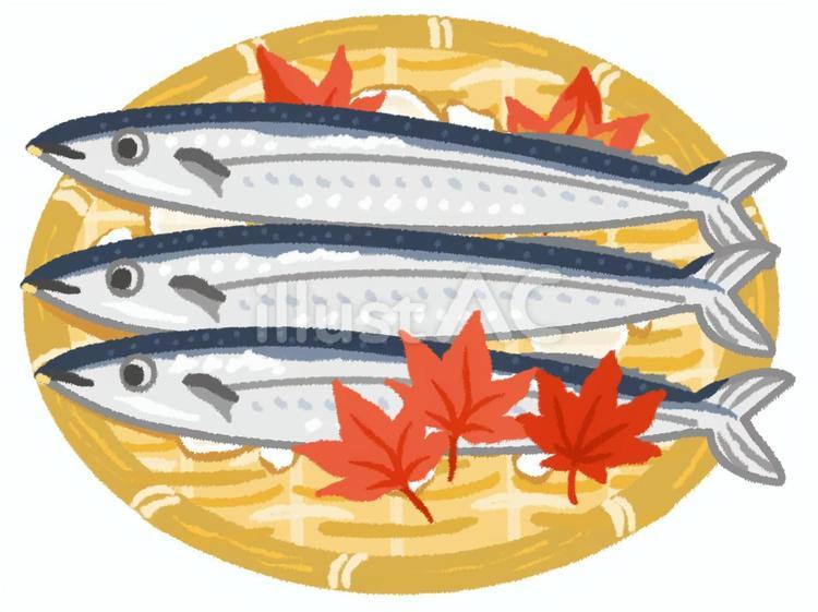 ざるの上に乗った二匹のサンマと氷と紅葉 さんま,秋刀魚,ざるのイラスト素材