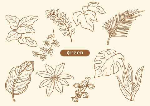 Illustration, हाउस पौधों, पौधा, आंतरिक, 