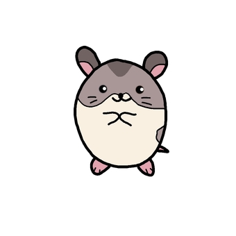 準倉鼠 準倉鼠