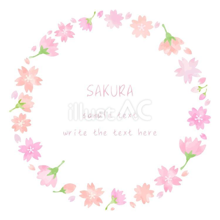 優しい手描きの桜の円形フレーム素材 白背景,可愛い,ピンクのイラスト素材