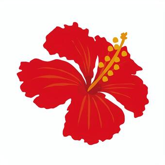 hibiscus, JPG and EPS hibiscus, , JPG and EPS