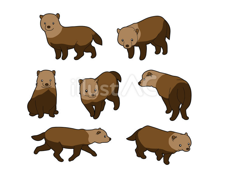 Free Vectors | 7 types of bush dogs