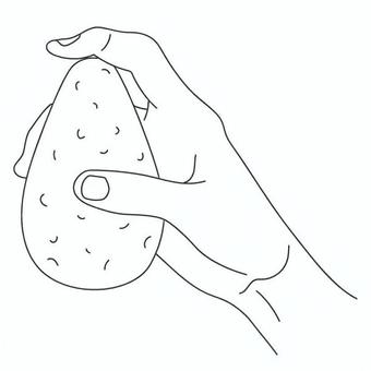 アボガドを持つ 手,指,アボカド,支える,片手,手元,果物,食べ物,動作,調理のイラスト素材