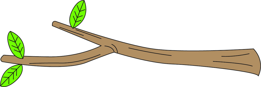 Illustration, branch, wood, leaf, 